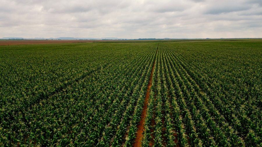 8 Bedroom Property for Sale in Bloemfontein Rural Free State